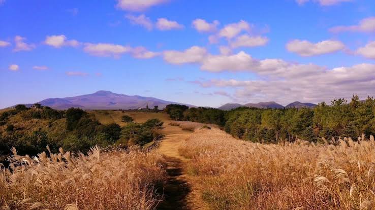 산굼부리 분화구 - 제주 - 산굼부리 분화구의 리뷰 - 트립어드바이저
