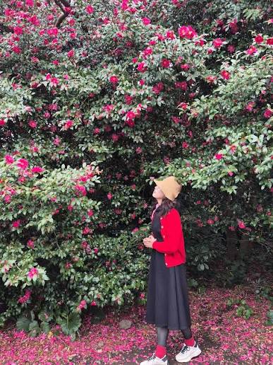 제주 카멜리아힐 ~~🌺⚘️🪻🌷 #실시간 지금도 동백이 넘 예쁜 카멜리아힐 ~!!! 늘 같이 다녀주는 언니랑 오늘도 카멜리아힐로 고고(^-^)/ 우린 매화가 있을까해서 갔는데... 웬걸 커다란 종류의 동백꽃이 넘 예쁘게 폈더라구요~🌺 꽃종류도 다양하고 진짜 커다란
